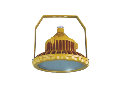 RLBZD LED防爆防腐燈